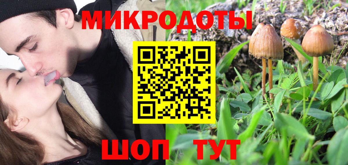 Псилоцибиновые грибы GOLDEN TEACHER  Вход с VPN  Галлюциногенные грибы Psilocybine cubensis  Новочеркасск 