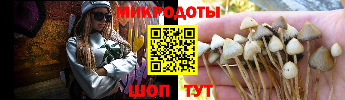 Псилоцибиновые грибы GOLDEN TEACHER Новочеркасск